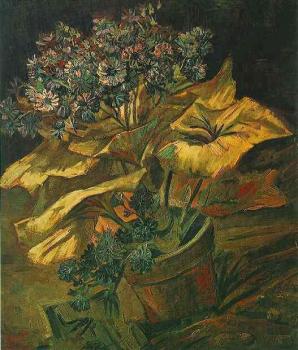 Vincent Van Gogh : Coneraria in a Flowerpot